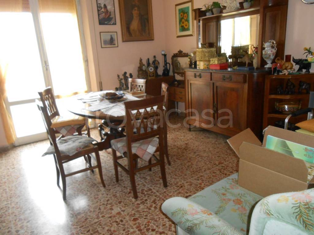 immagine annuncio 2 di 12