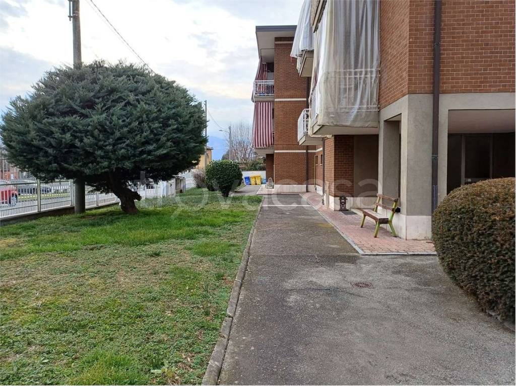 immagine annuncio 2 di 14