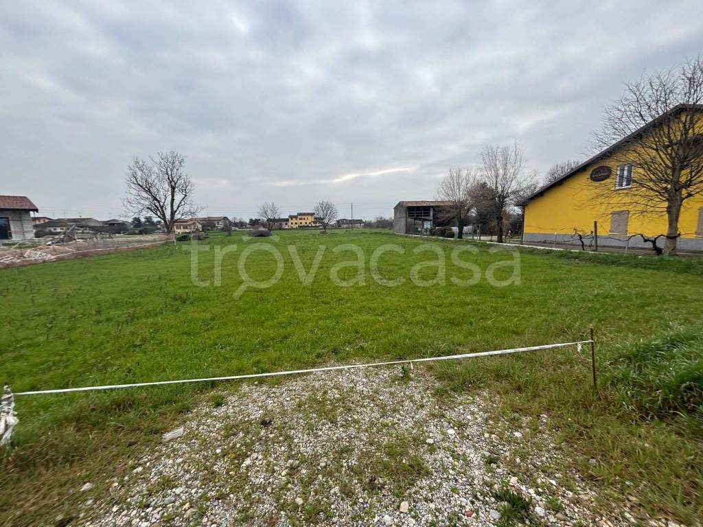 immagine annuncio 5 di 12
