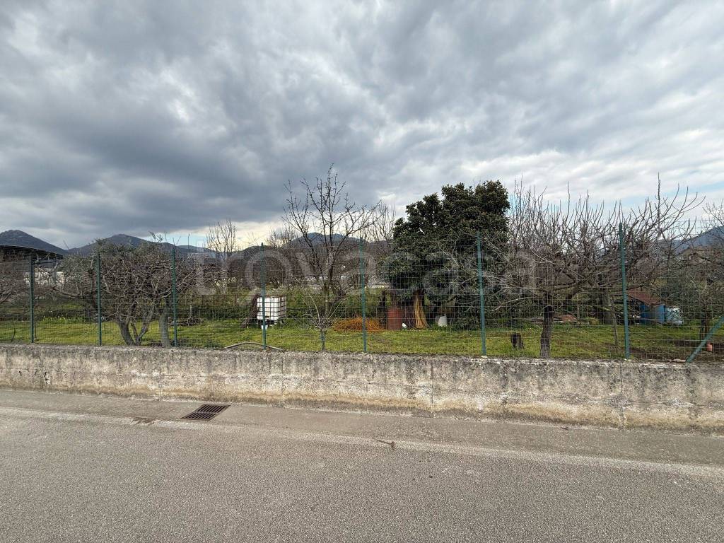 immagine annuncio 3 di 4