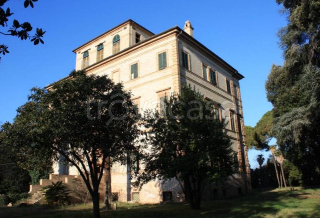 immagine annuncio 9 di 10