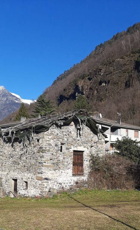 immagine annuncio 4 di 6