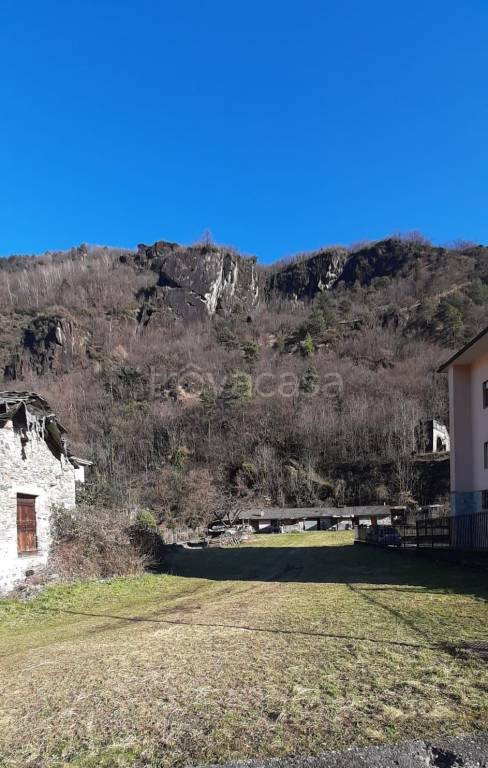 immagine annuncio 5 di 6