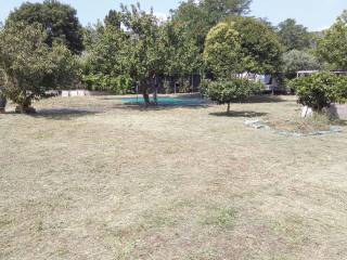 Terreno agricolo in vendita a castiglione della pescaia via del poggetto