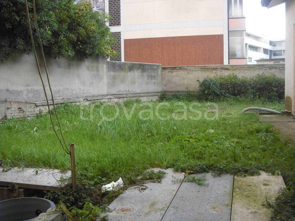 immagine annuncio 11 di 14