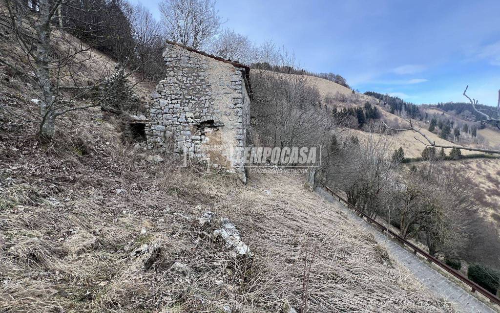 immagine annuncio 9 di 14