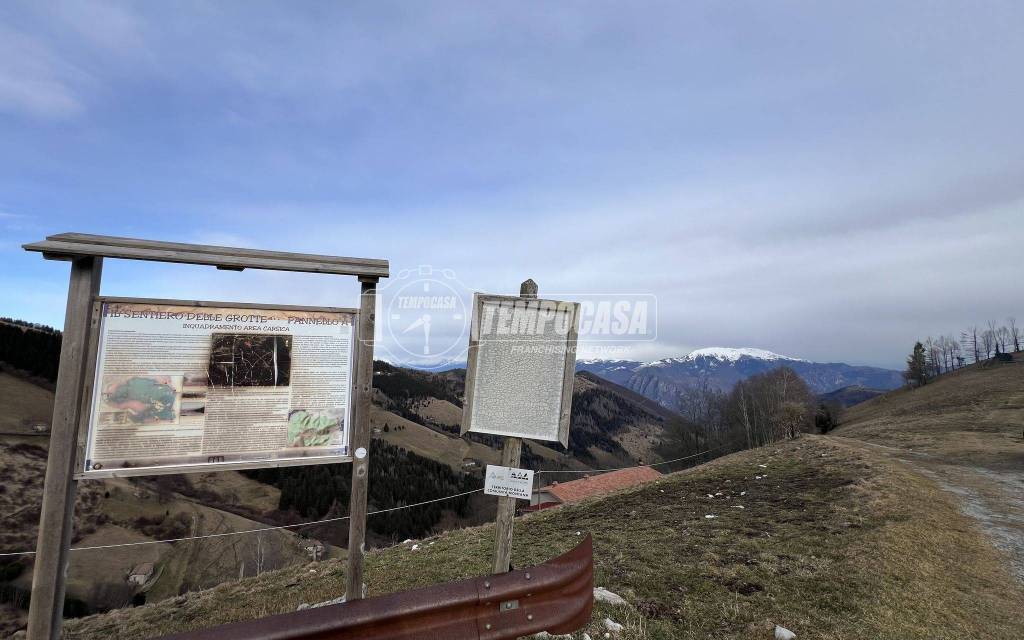 immagine annuncio 12 di 14