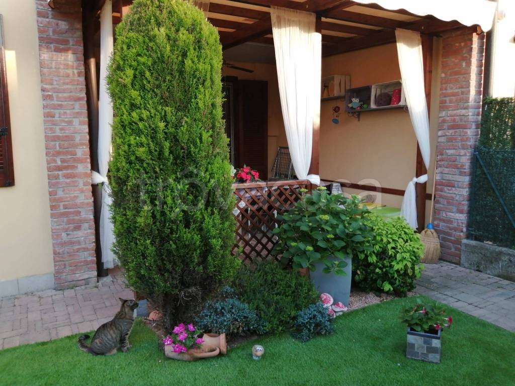 immagine annuncio 4 di 15