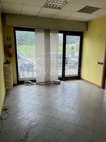 immagine annuncio 2 di 8