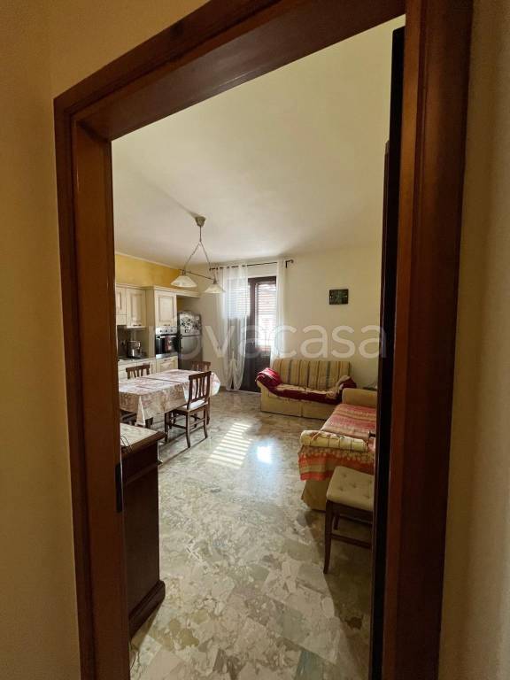 immagine annuncio 1 di 14