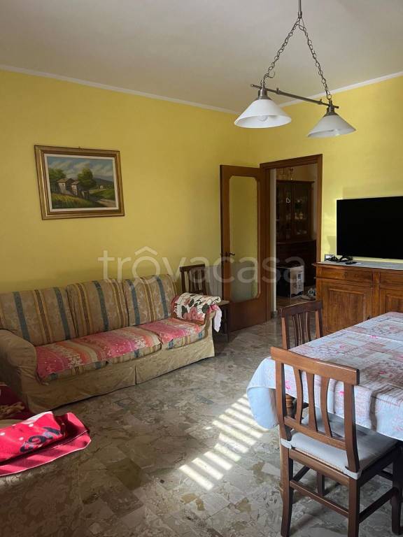 immagine annuncio 2 di 14