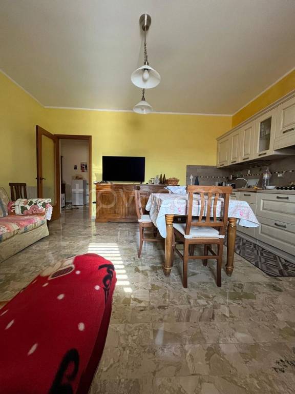 immagine annuncio 3 di 14