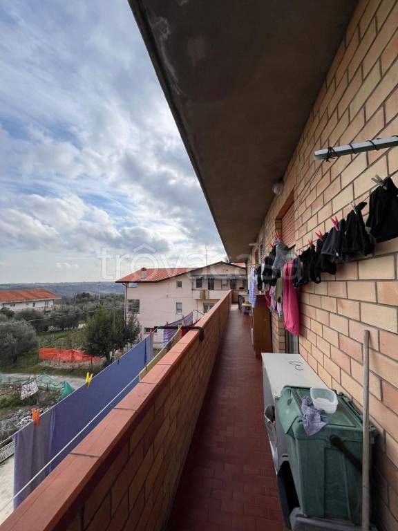 immagine annuncio 13 di 14