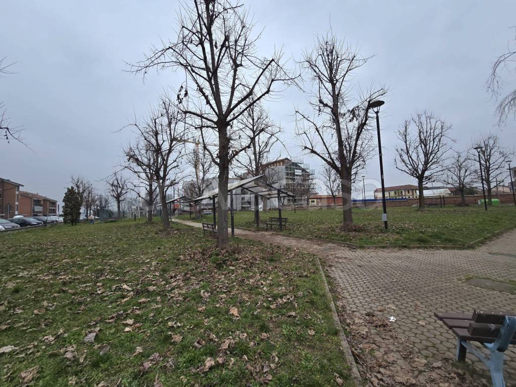 immagine annuncio 14 di 15