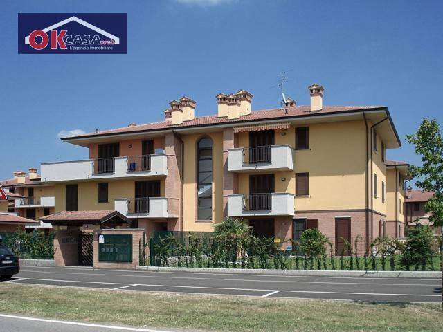 immagine annuncio 11 di 14