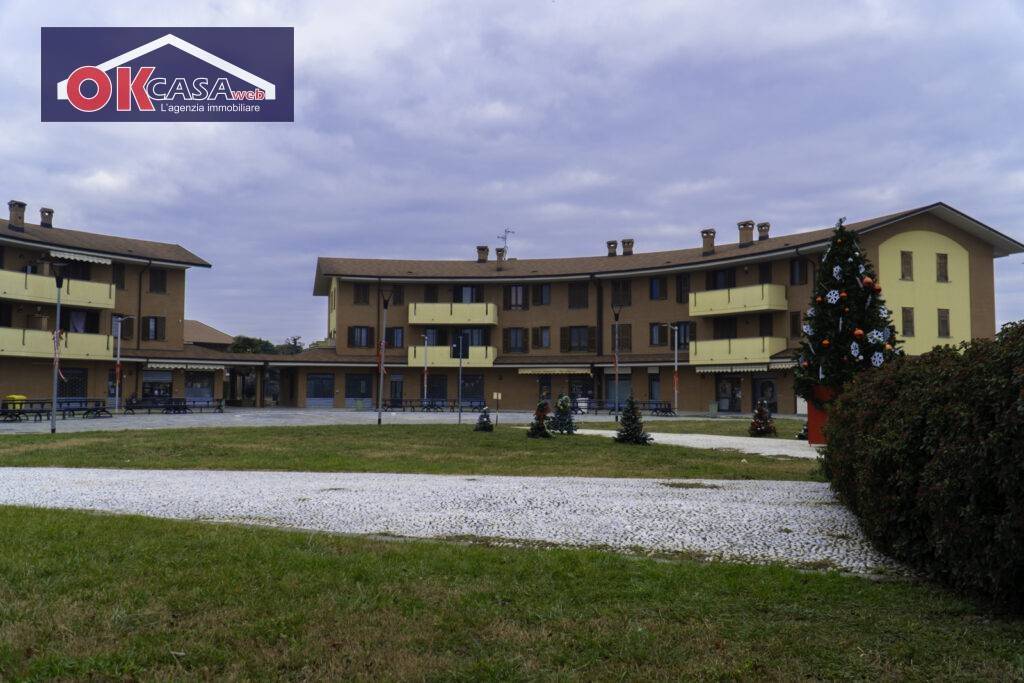 immagine annuncio 12 di 14