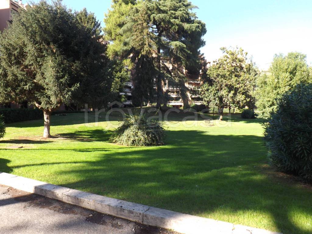 immagine annuncio 4 di 6