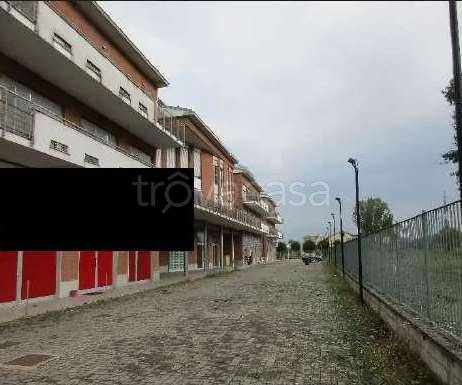 immagine annuncio 1 di 9