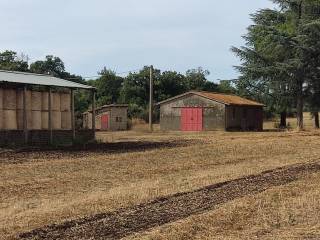 Terreno agricolo in vendita a bracciano via di castelgiuliano, 58