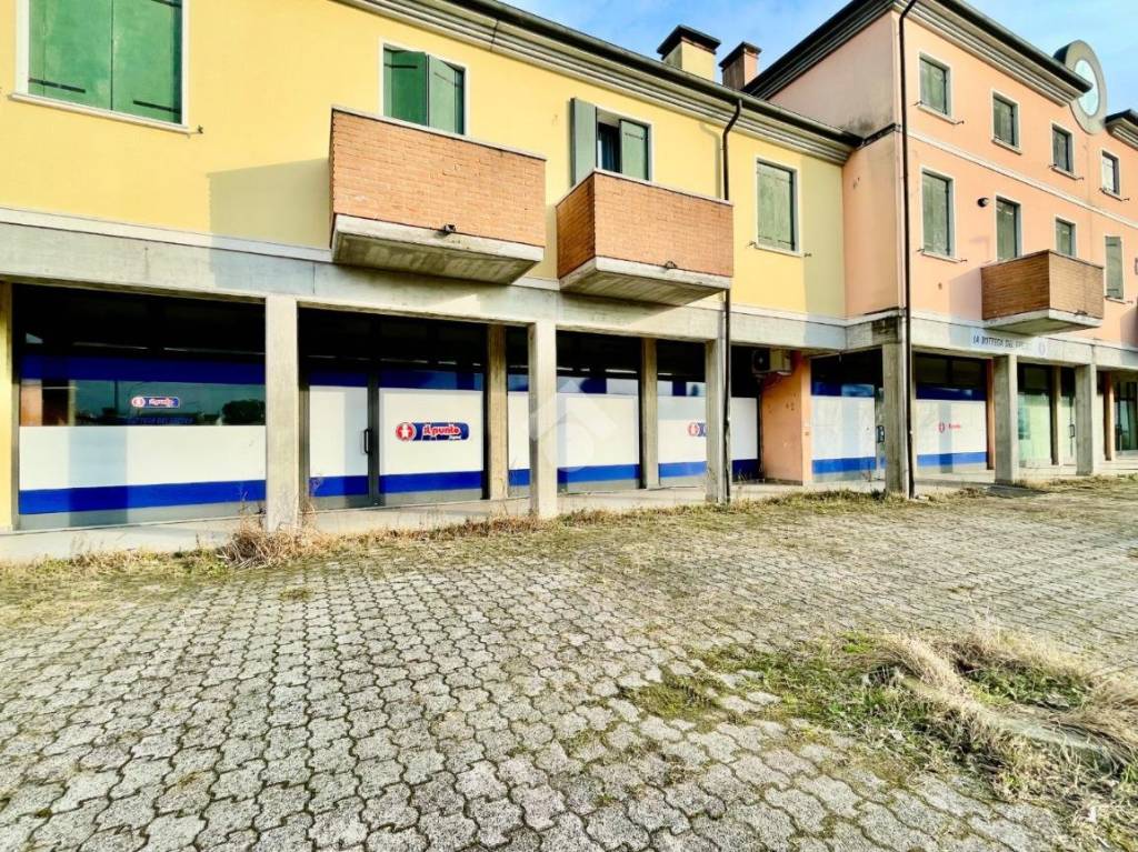 immagine annuncio 5 di 11