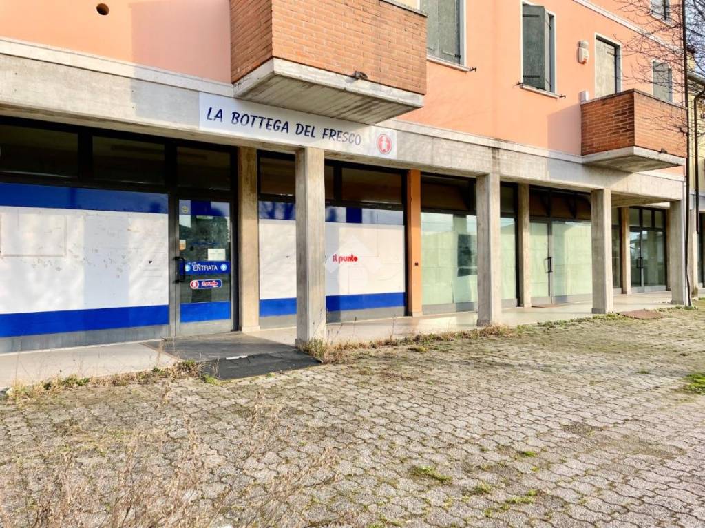 immagine annuncio 6 di 11