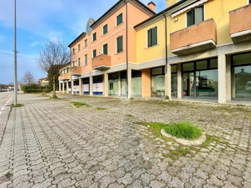 immagine annuncio 7 di 11