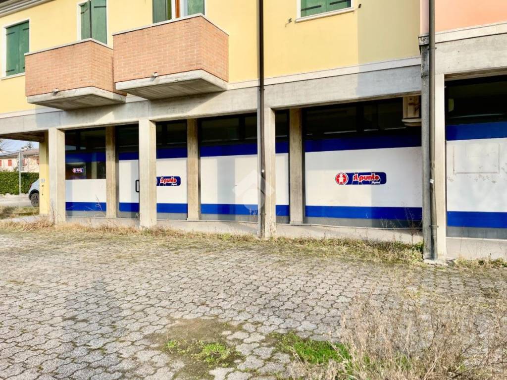 immagine annuncio 9 di 11
