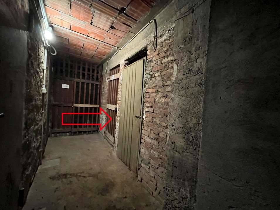 immagine annuncio 11 di 13