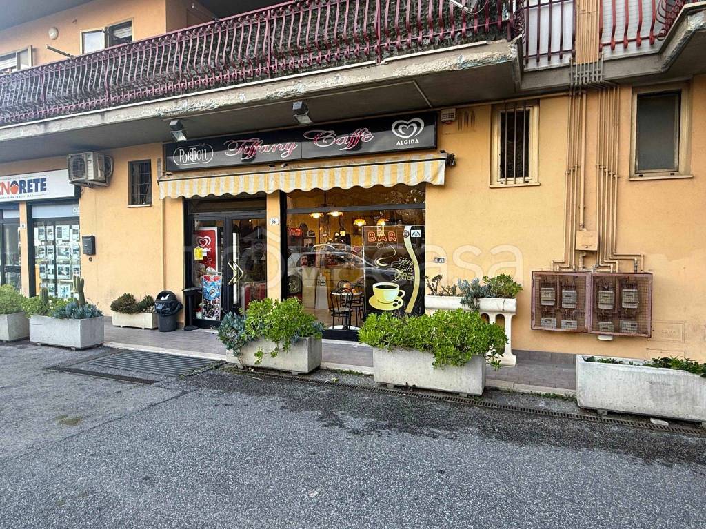 immagine annuncio 2 di 7