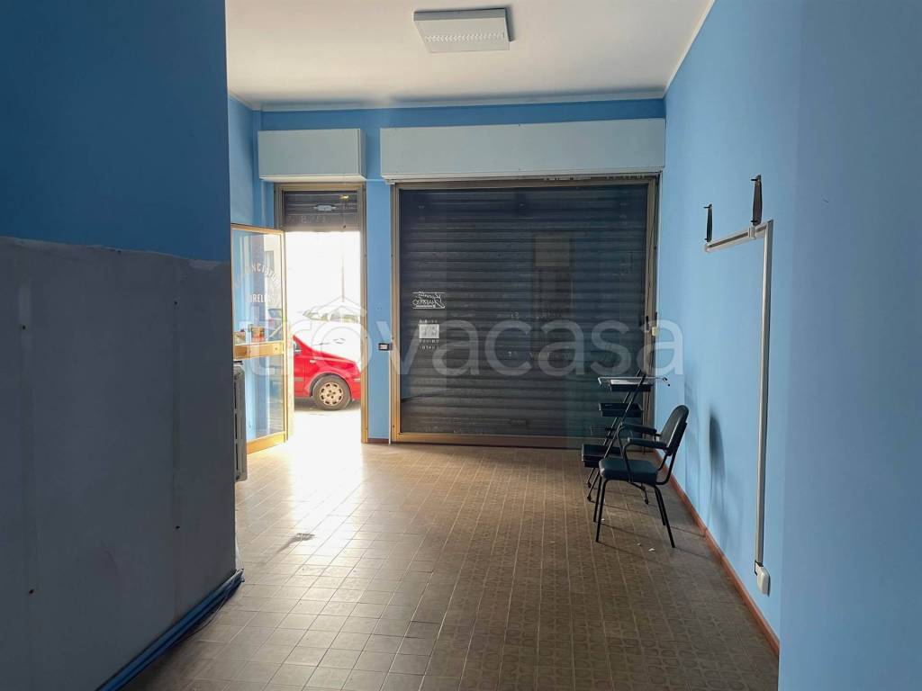 immagine annuncio 5 di 14