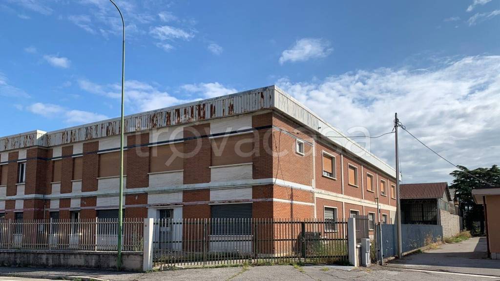immagine annuncio 3 di 15