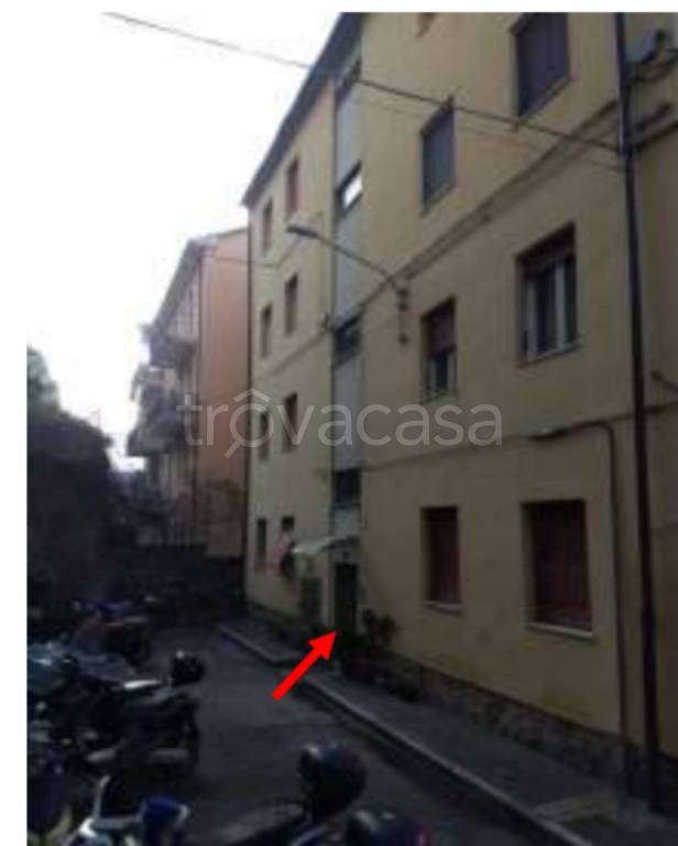immagine annuncio 3 di 11