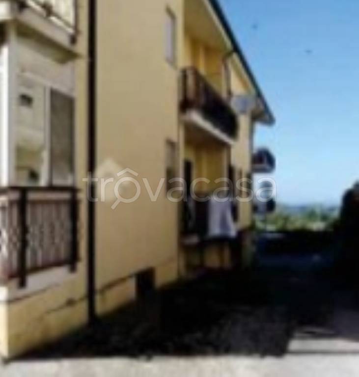 immagine annuncio 3 di 12