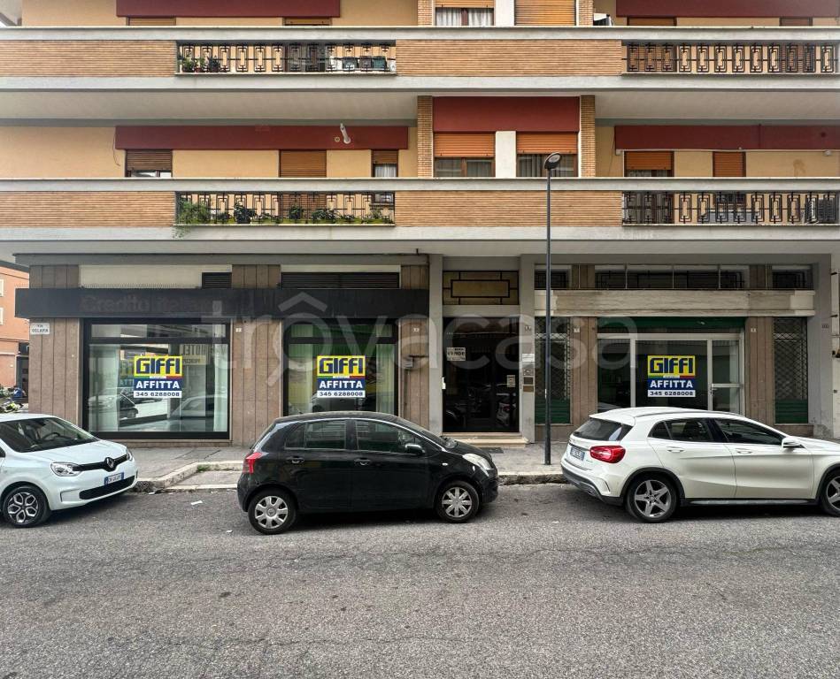 immagine annuncio 2 di 11