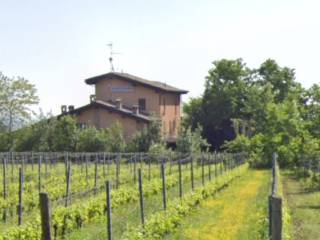 Casa indipendente all'asta a borgonovo val tidone localita' case olive, 127