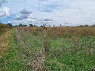 Terreno agricolo in affitto a cerveteri via monte dei pozzi, 1a