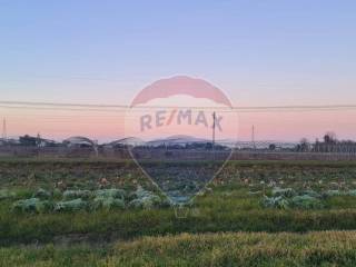 Terreno agricolo in vendita a ravenna via san vitale s.s., 15/a