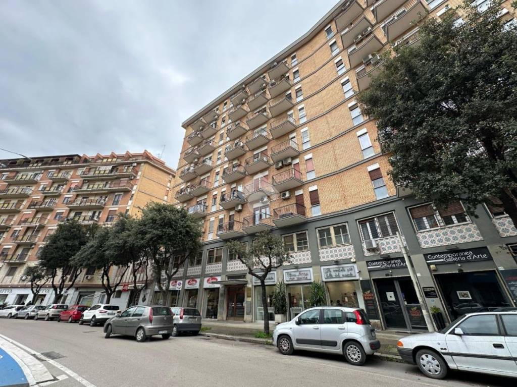 immagine annuncio 6 di 14