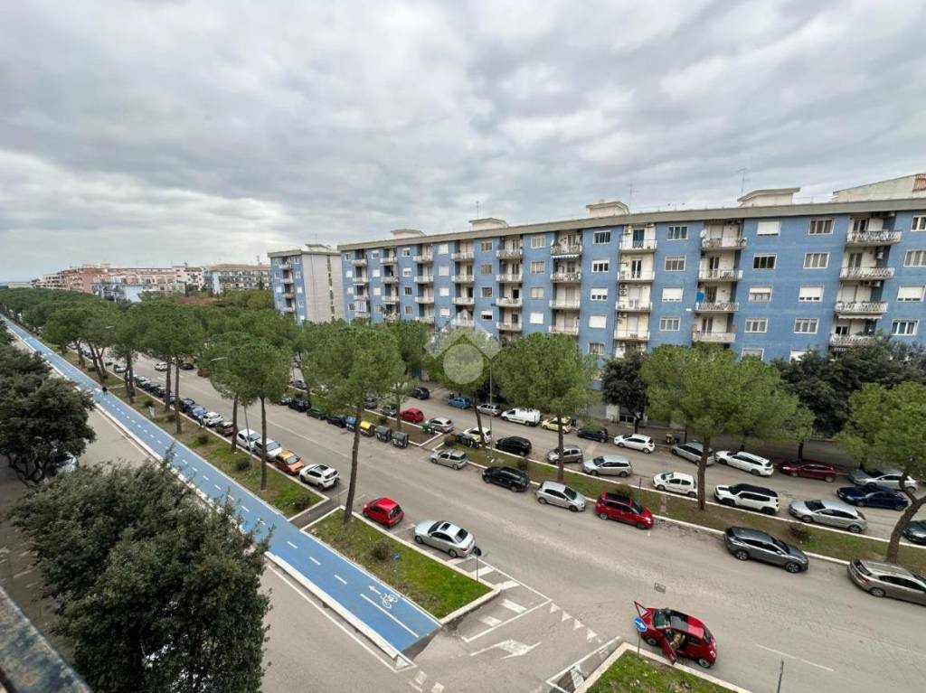 immagine annuncio 5 di 14