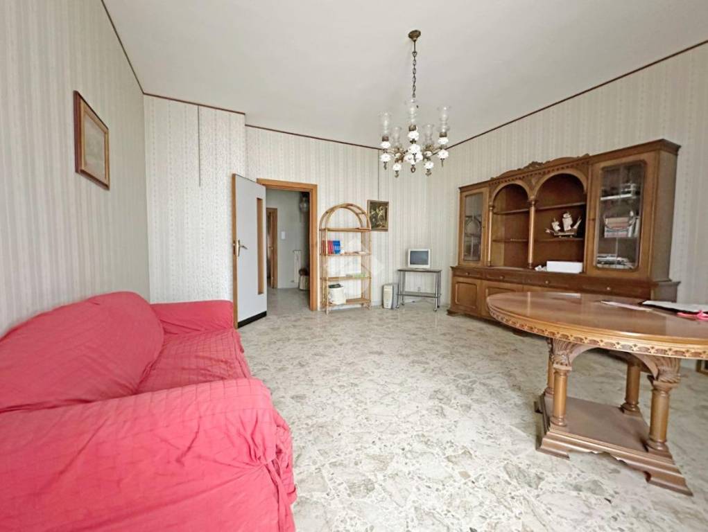 immagine annuncio 4 di 14