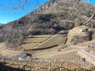 Terreno agricolo in vendita a cembra lisignago strada statale della val di cembra