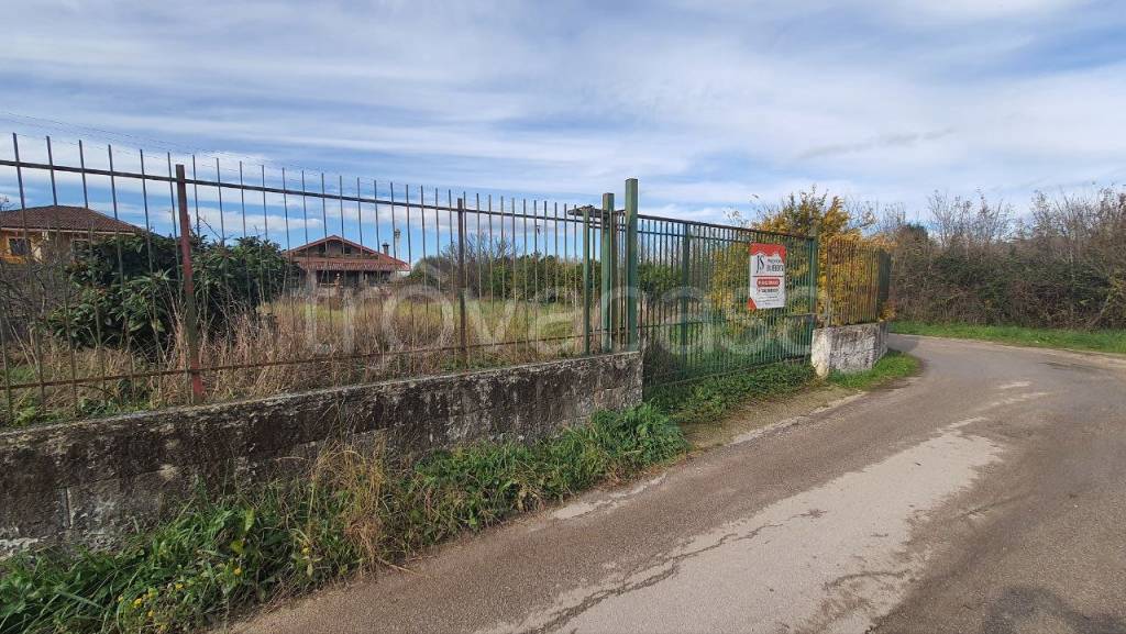 immagine annuncio 1 di 8