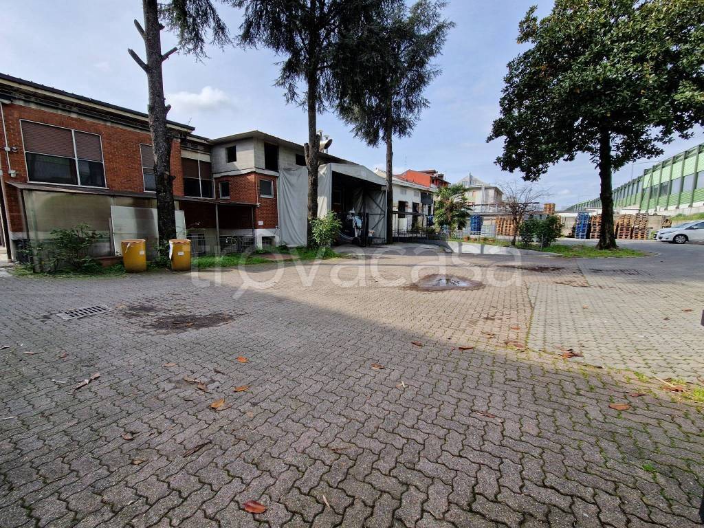 immagine annuncio 7 di 8
