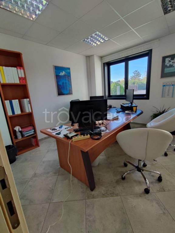 immagine annuncio 9 di 15