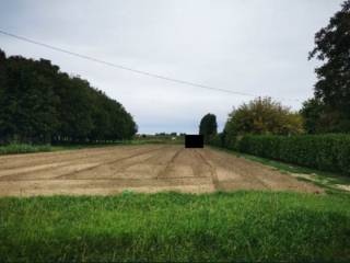 Terreno agricolo all'asta a lendinara via crosara, 24