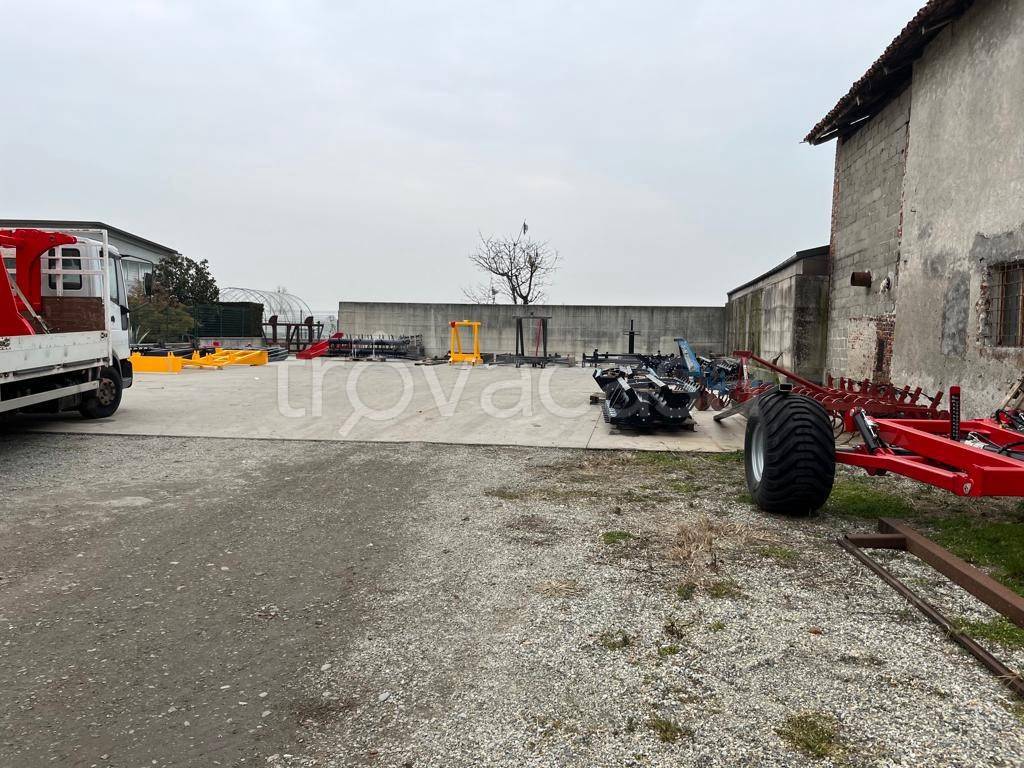 immagine annuncio 3 di 11