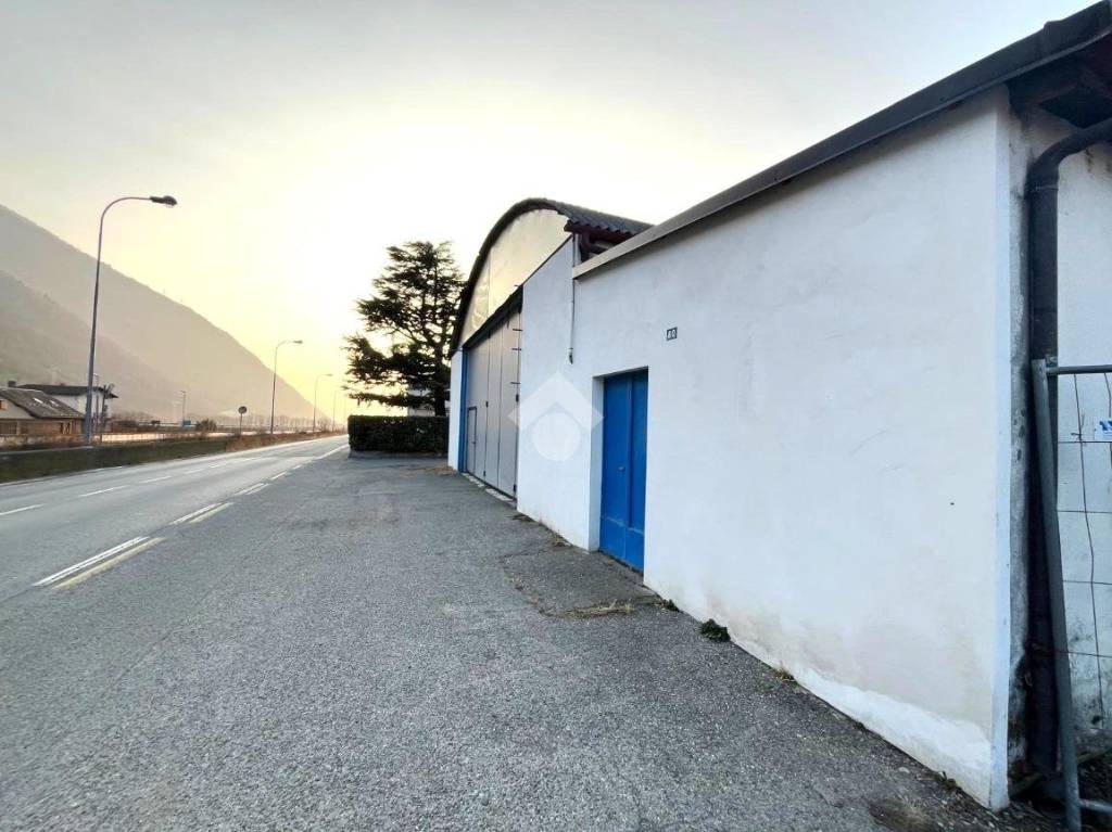 immagine annuncio 5 di 12