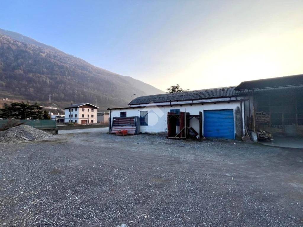 immagine annuncio 11 di 12