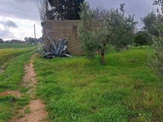 Terreno agricolo in vendita a palma campania 