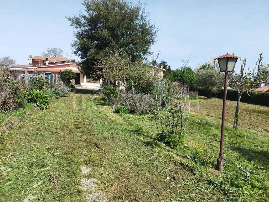 immagine annuncio 3 di 11